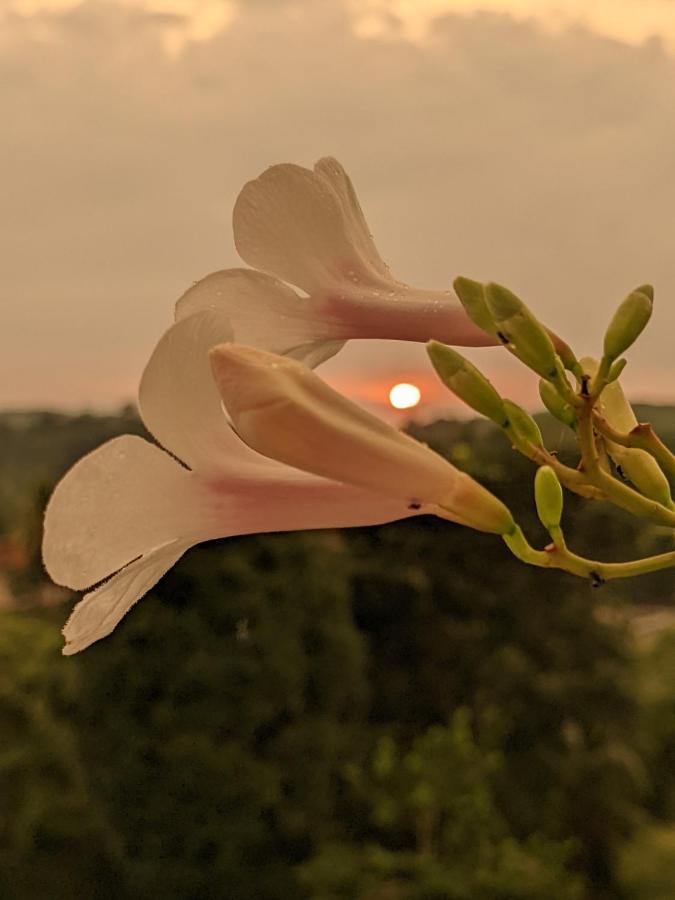 Namal Stay Weligama Dış mekan fotoğraf