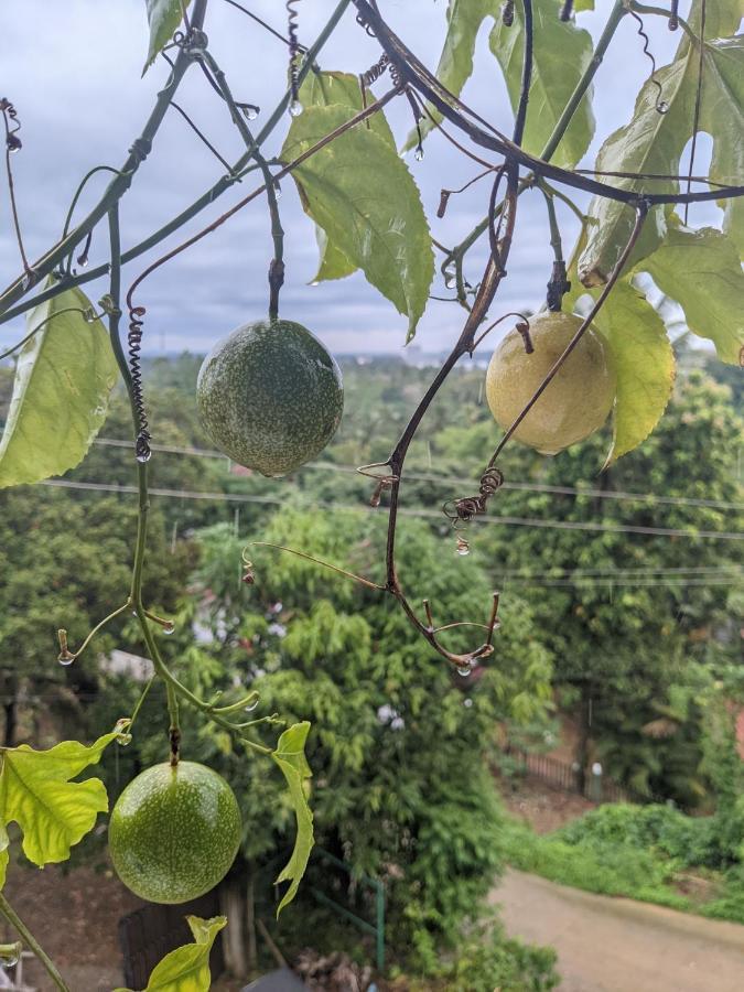 Namal Stay Weligama Dış mekan fotoğraf