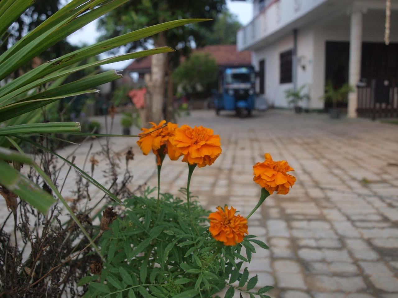 Namal Stay Weligama Dış mekan fotoğraf