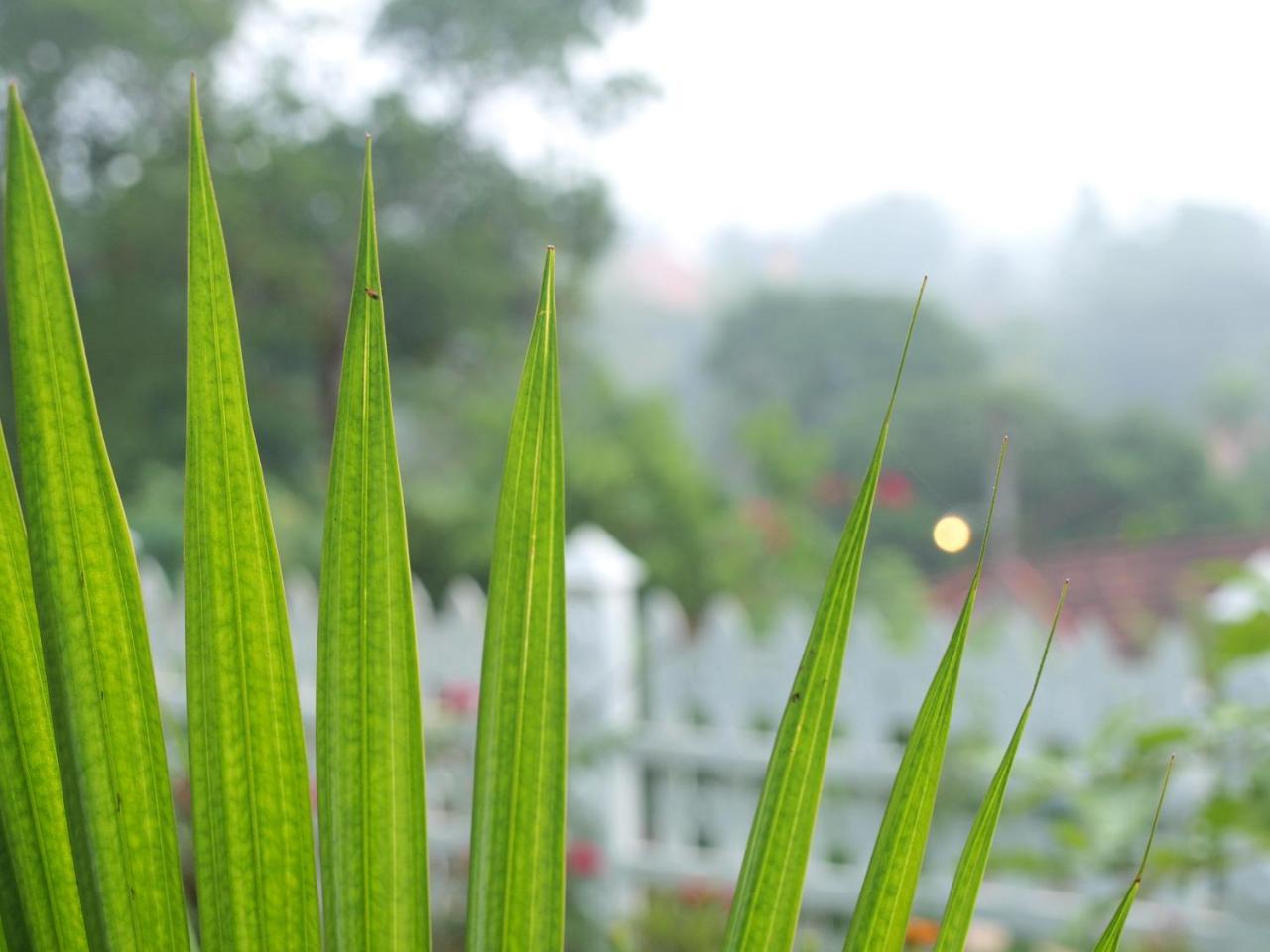 Namal Stay Weligama Dış mekan fotoğraf